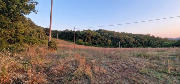 terreno agricolo in vendita a Massa Martana in zona Mezzanelli