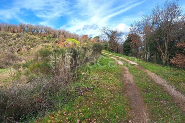 terreno edificabile in vendita a Massa Martana