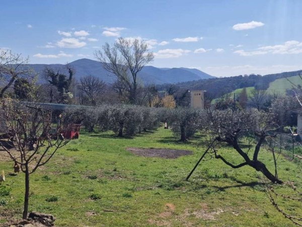 terreno agricolo in vendita a Massa Martana in zona Villa San Faustino