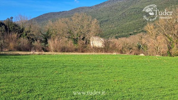 terreno agricolo in vendita a Massa Martana in zona Colpetrazzo