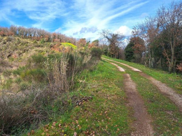 terreno edificabile in vendita a Massa Martana