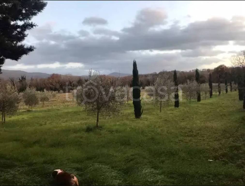 casa indipendente in vendita a Massa Martana