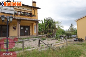 villa in vendita a Monte Castello di Vibio