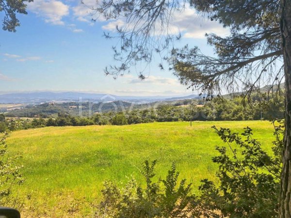 appartamento in vendita a Monte Castello di Vibio