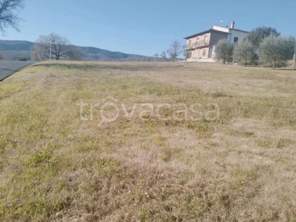 terreno in vendita a Monte Castello di Vibio