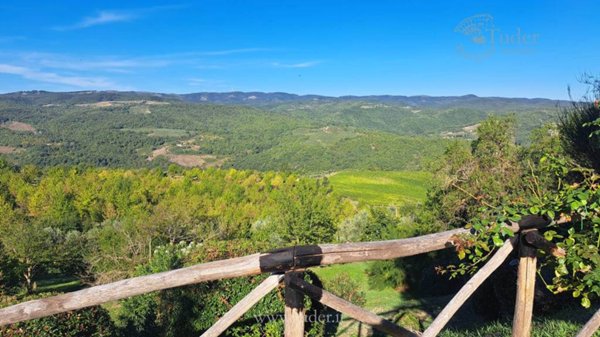 casa indipendente in vendita a Monte Castello di Vibio in zona Doglio