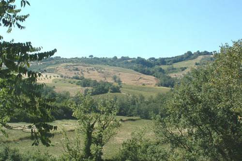 terreno edificabile in vendita a Monte Castello di Vibio in zona Doglio