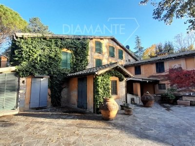 azienda agricola in vendita a Montefalco in zona Casale