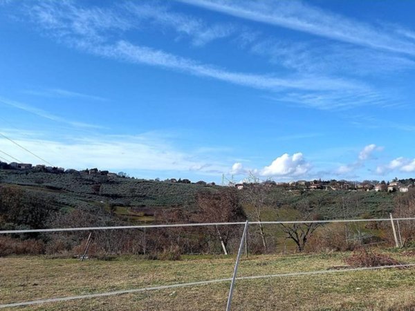 terreno agricolo in vendita a Montefalco in zona San Clemente