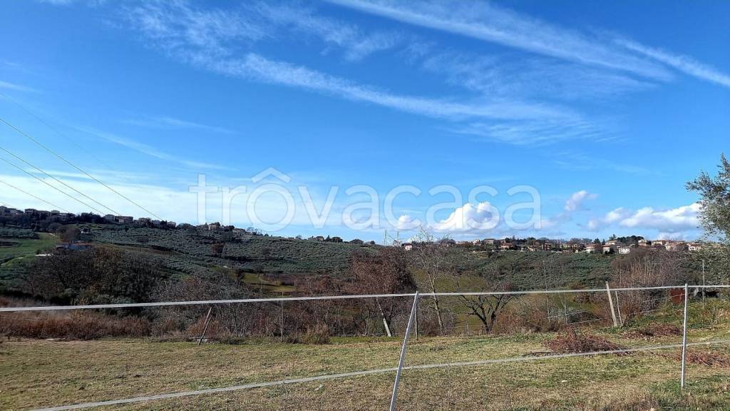 terreno agricolo in vendita a Montefalco in zona San Clemente