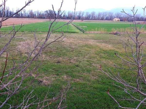 terreno agricolo in vendita a Montefalco