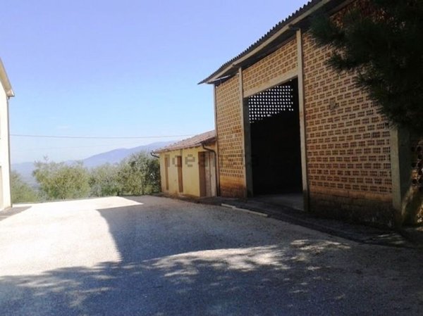 casa indipendente in vendita a Montefalco
