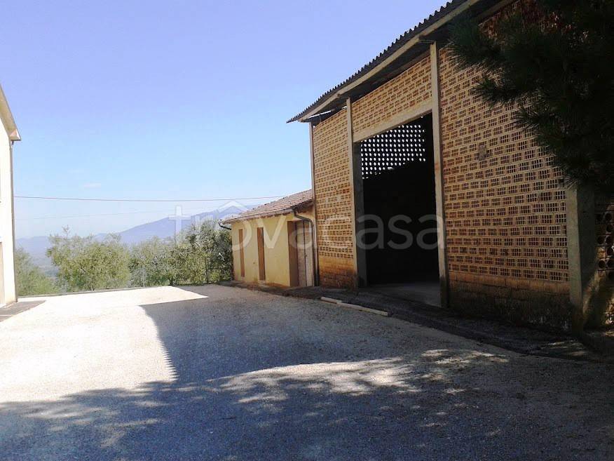 casa indipendente in vendita a Montefalco in zona Casale