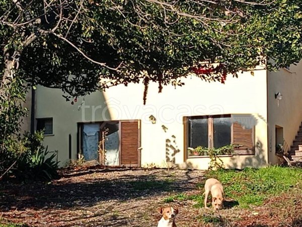 appartamento in vendita a Montefalco