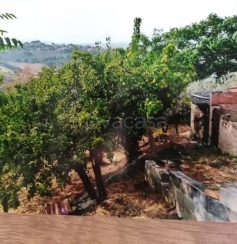 casa indipendente in vendita a Montefalco in zona Casale