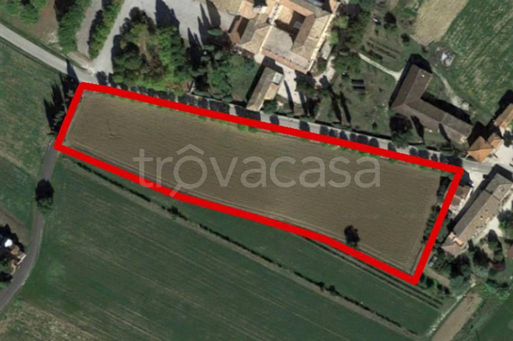 terreno agricolo in vendita a Montefalco in zona Madonna della Stella