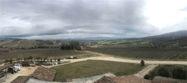azienda agricola in vendita a Montefalco