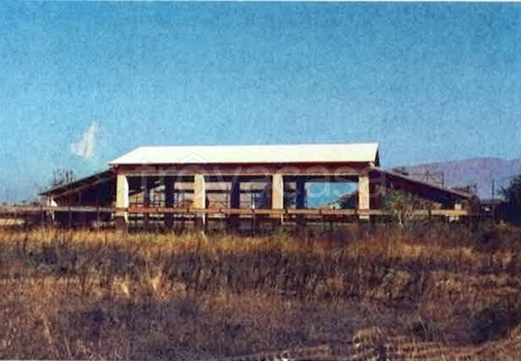 casa indipendente in vendita a Montefalco