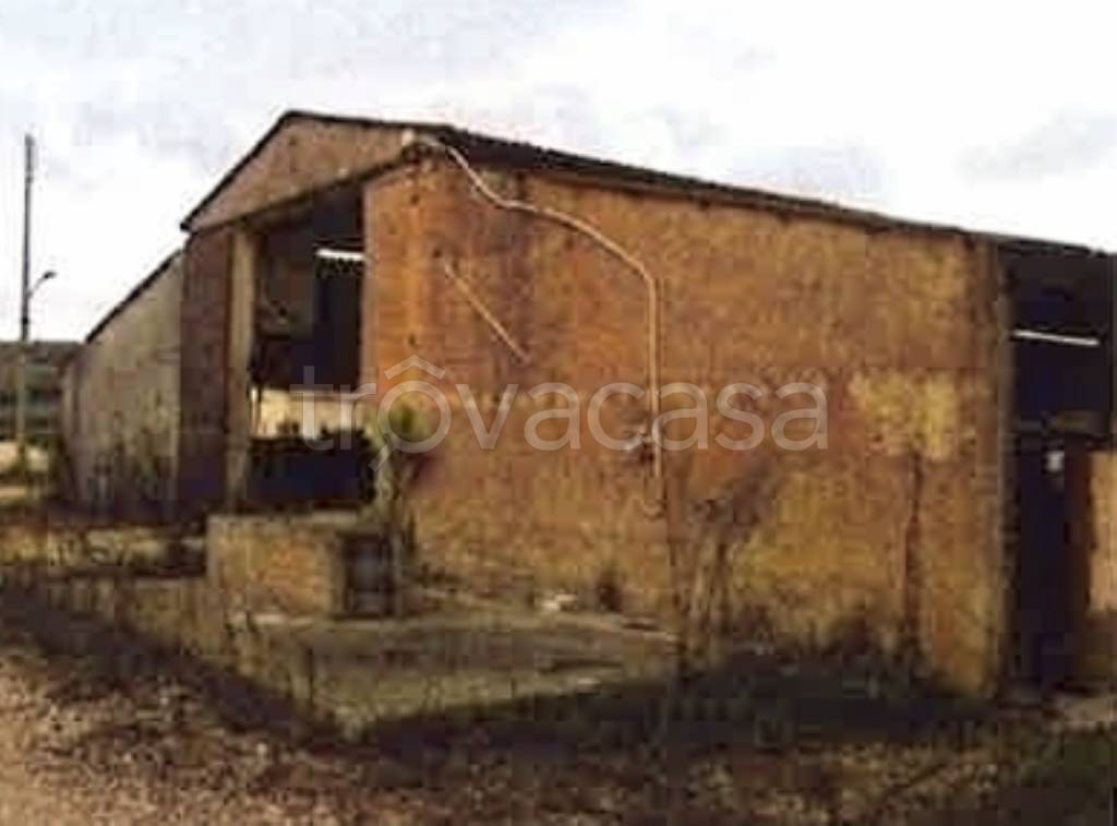 azienda agricola in vendita a Montefalco
