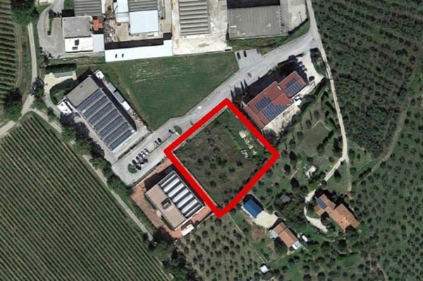 terreno agricolo in vendita a Montefalco in zona Pietrauta