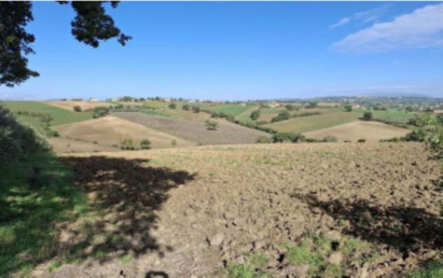 terreno agricolo in vendita a Montefalco in zona Turrita