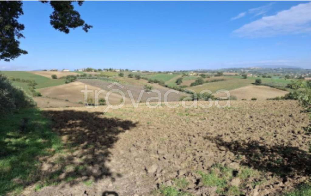 terreno agricolo in vendita a Montefalco in zona Turrita