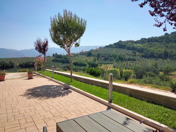 azienda agricola in vendita a Montefalco in zona Montepennino