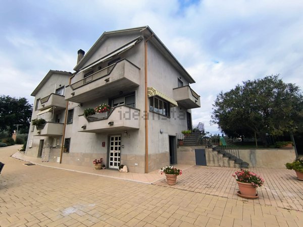 azienda agricola in vendita a Montefalco in zona Montepennino