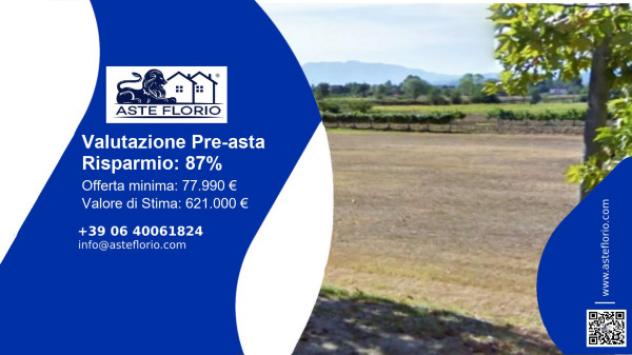terreno agricolo in vendita a Montefalco in zona Madonna della Stella