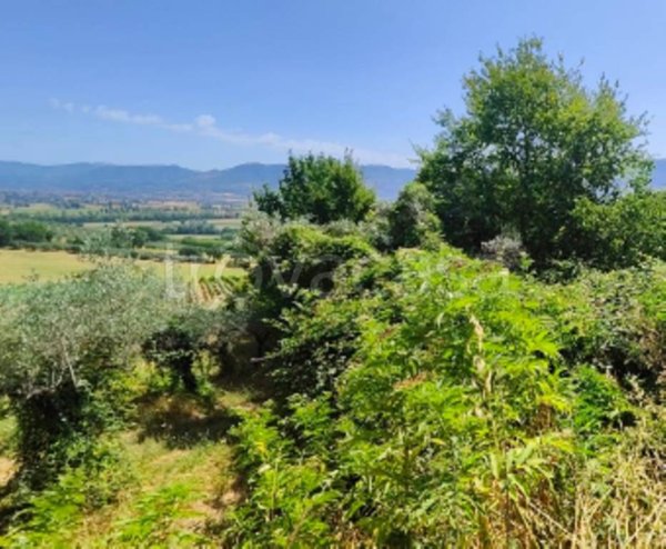 terreno agricolo in vendita a Montefalco in zona San Clemente