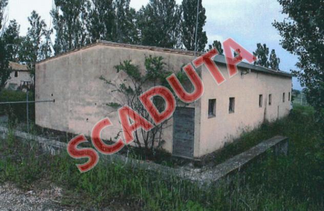 pentavano in vendita a Montefalco in zona Cerrete