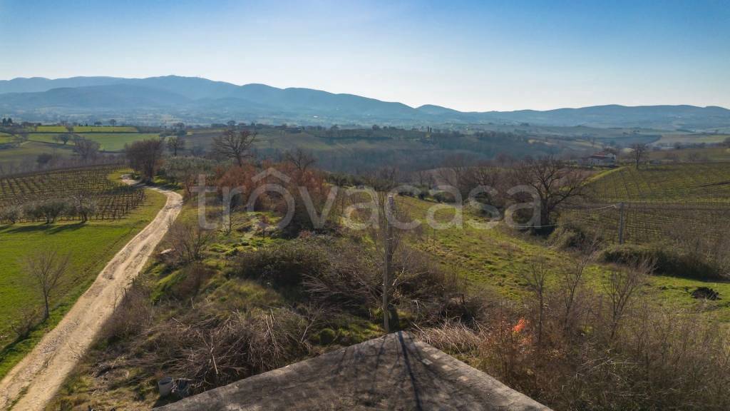 casa indipendente in vendita a Montefalco