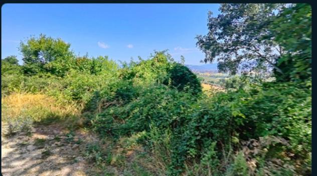 terreno agricolo in vendita a Montefalco in zona San Clemente