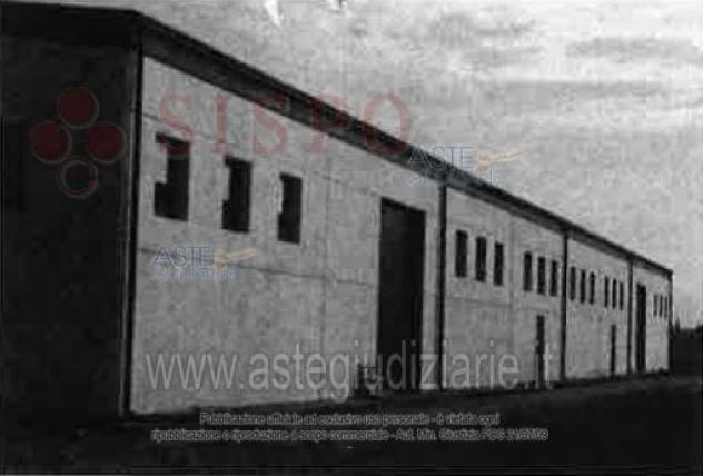 terreno agricolo in vendita a Montefalco