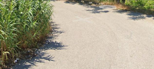 terreno agricolo in vendita a Montefalco