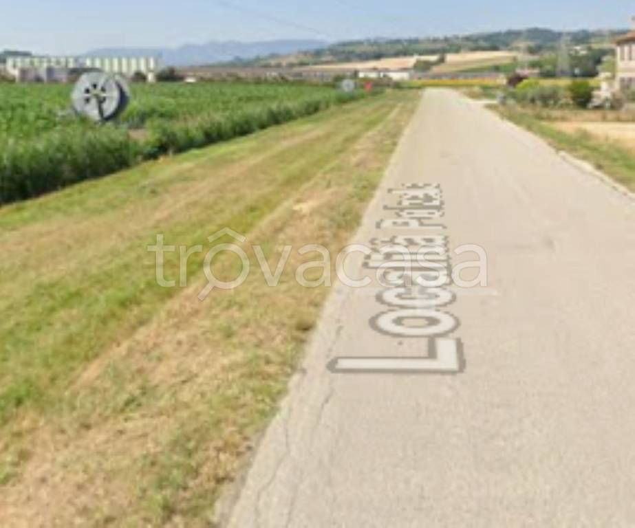 terreno agricolo in vendita a Montefalco
