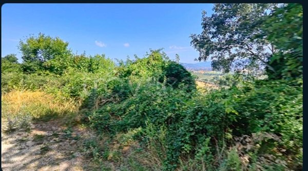 terreno agricolo in vendita a Montefalco in zona San Clemente