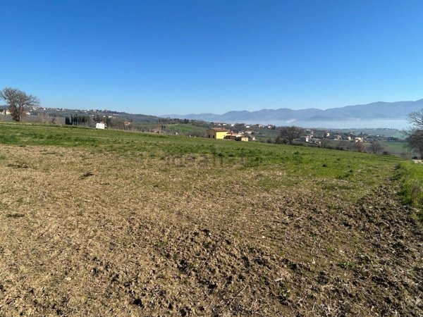 casa indipendente in vendita a Montefalco