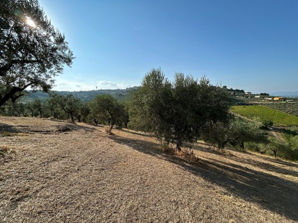 terreno agricolo in vendita a Montefalco