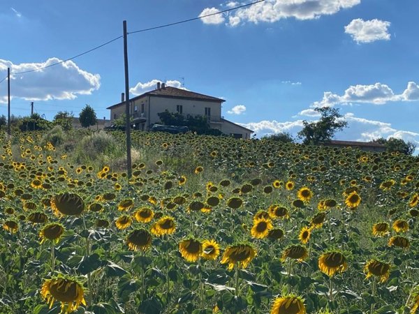 appartamento in vendita a Montefalco