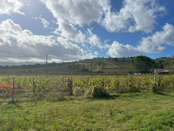 terreno agricolo in vendita a Montefalco