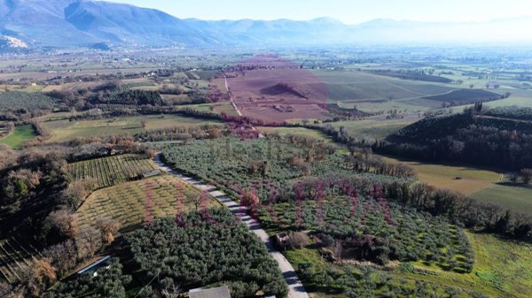 casale in vendita a Montefalco in zona Casale