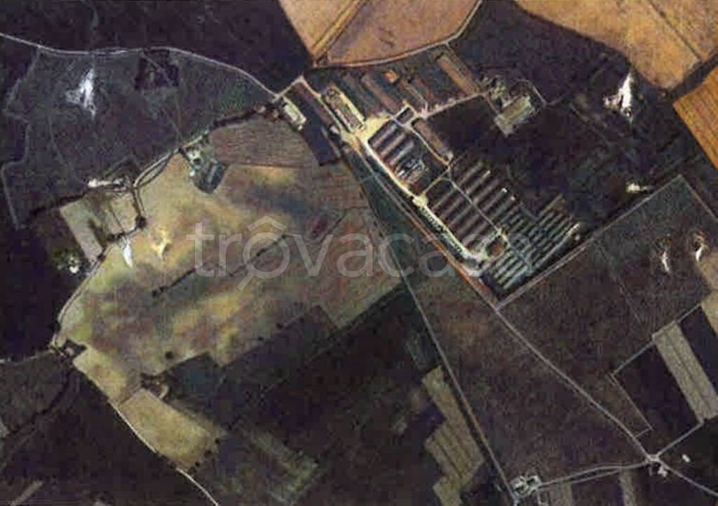 terreno agricolo in vendita a Montefalco