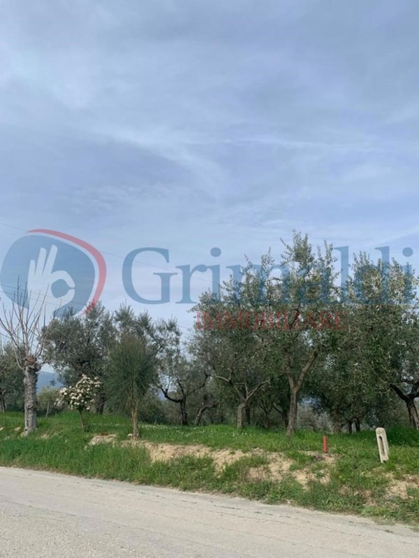 terreno in vendita a Montefalco in zona San Clemente