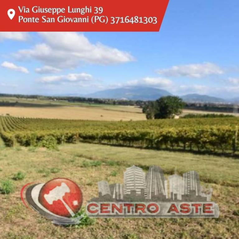 casa indipendente in vendita a Montefalco