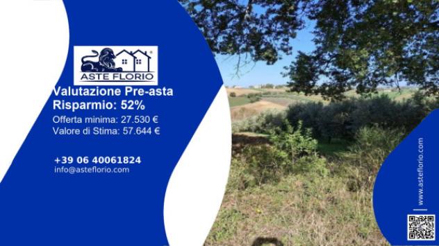 terreno agricolo in vendita a Montefalco in zona Camiano