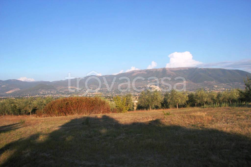 terreno edificabile in vendita a Montefalco