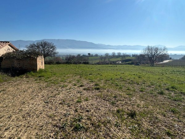 casa indipendente in vendita a Montefalco