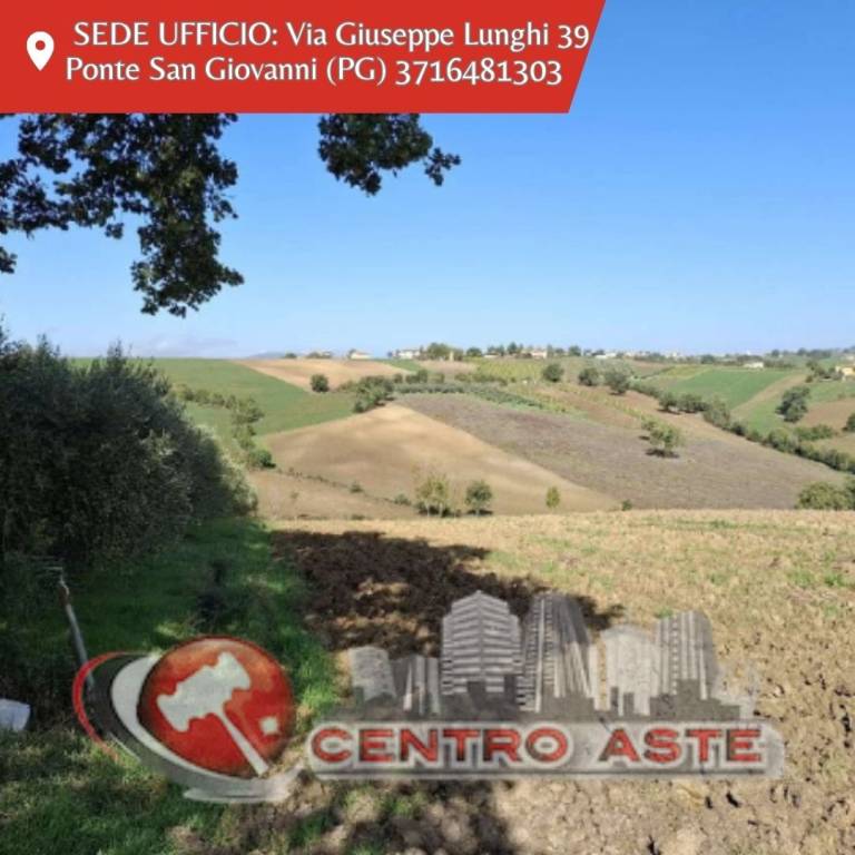 casa indipendente in vendita a Montefalco