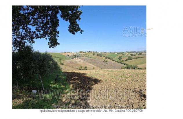terreno edificabile in vendita a Montefalco in zona Turrita